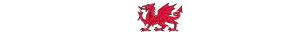 The Welsh Gifts logo
